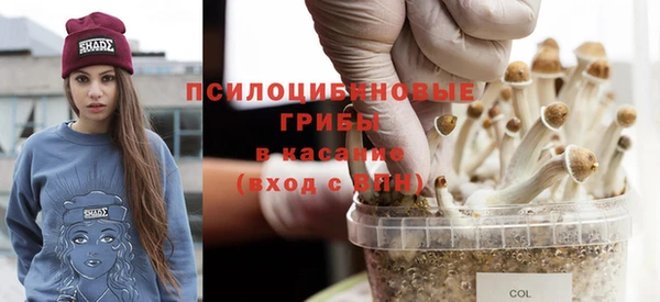 соль курить ск Алексин