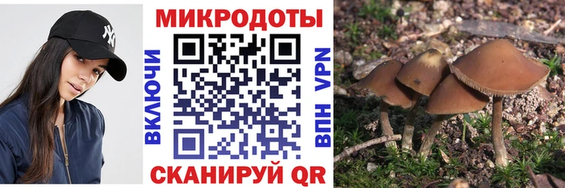 магазин продажи   Монино  Галлюциногенные грибы MAGIC MUSHROOMS 